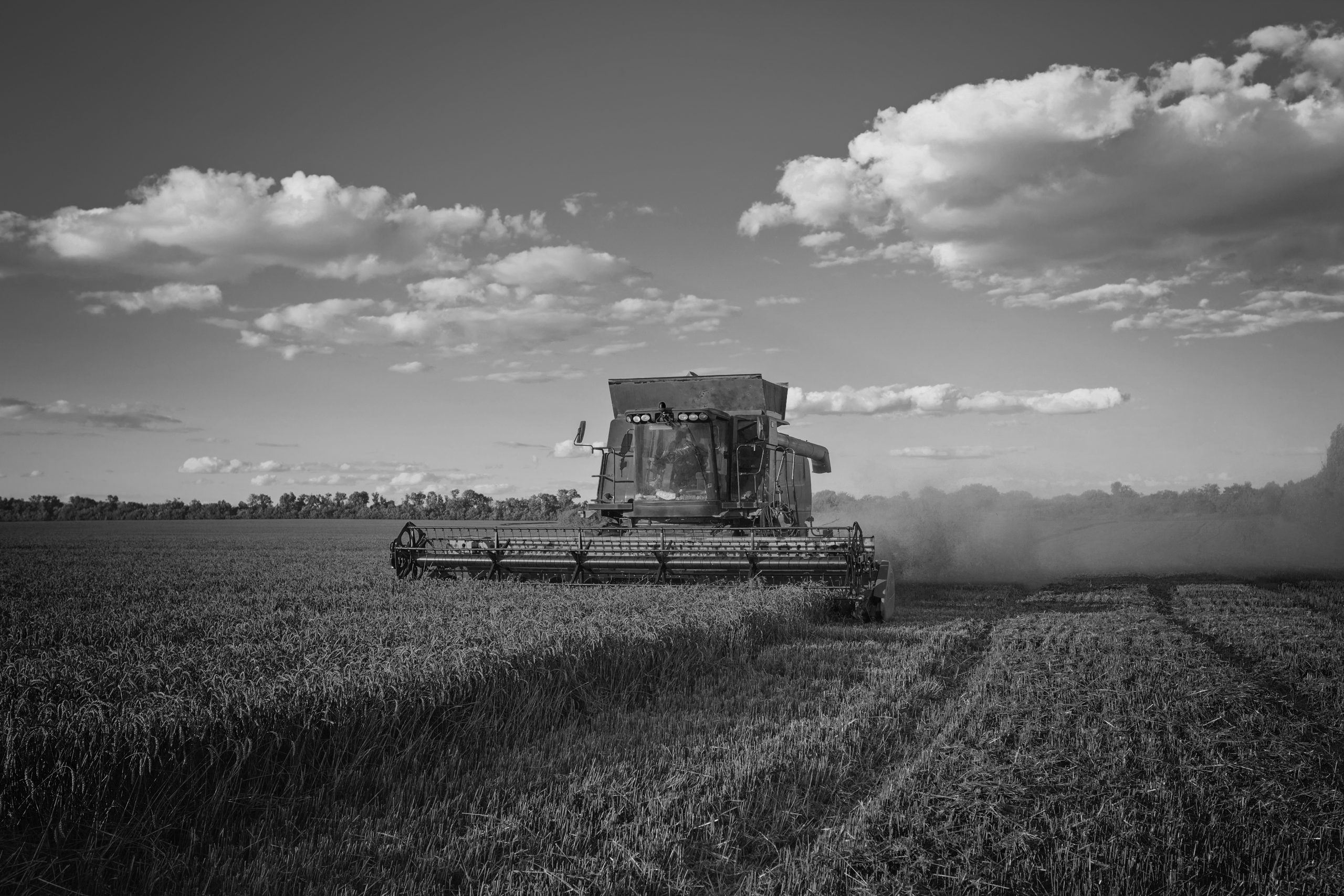 Image hover effect image